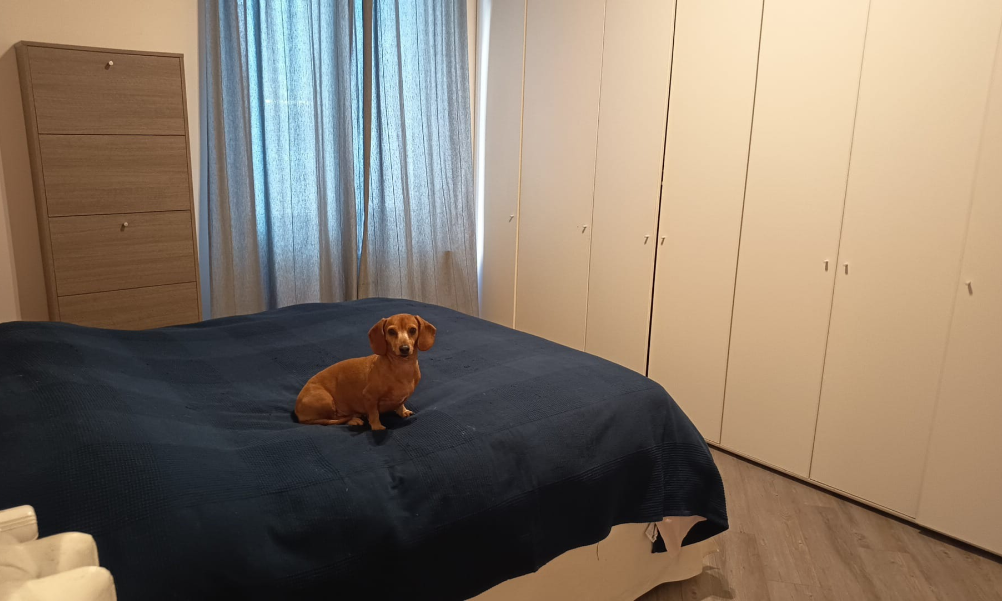 Appartamento 52mq Genova Albaro