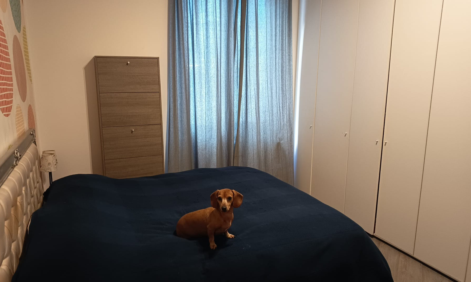 Appartamento 52mq Genova Albaro