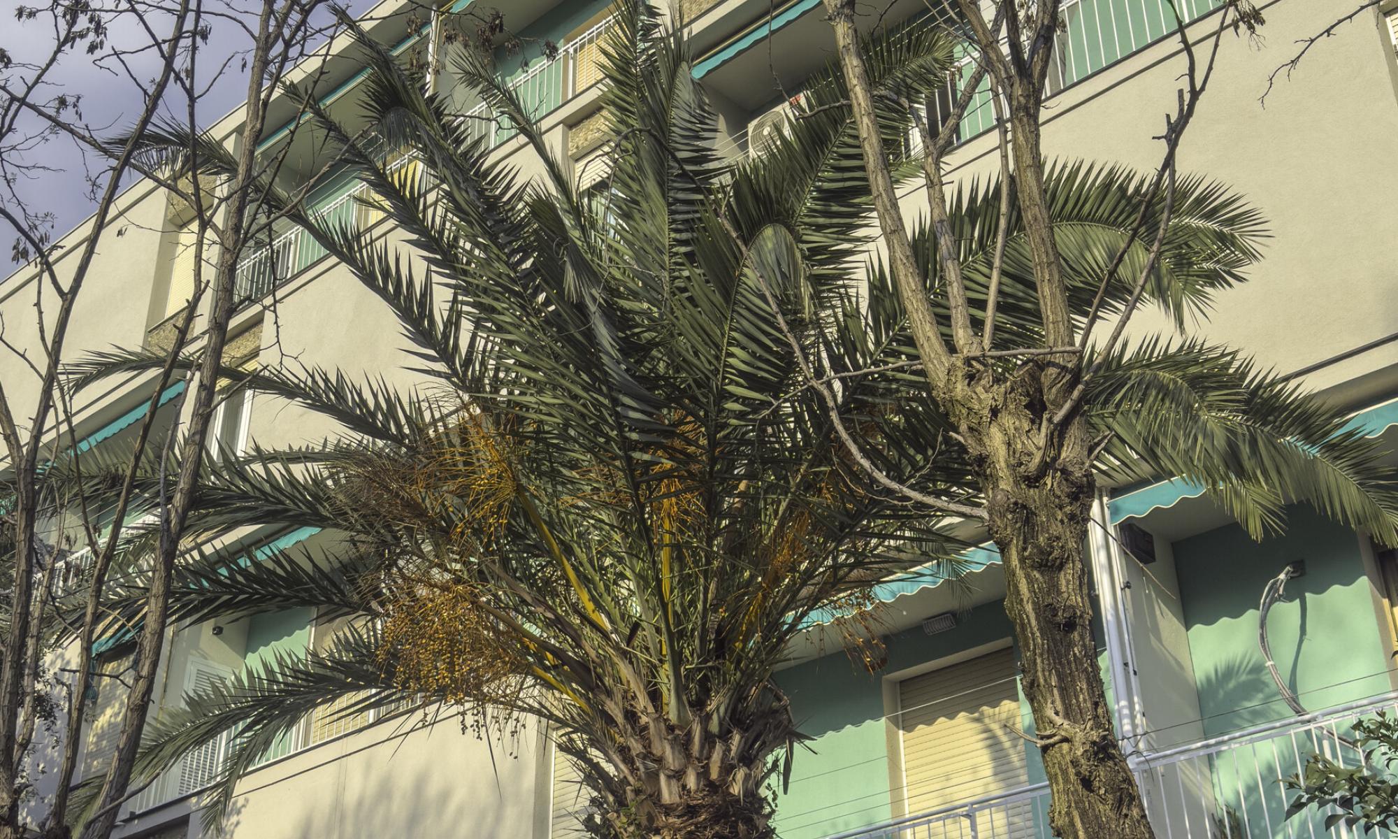 Appartamento 83mq Genova Sturla