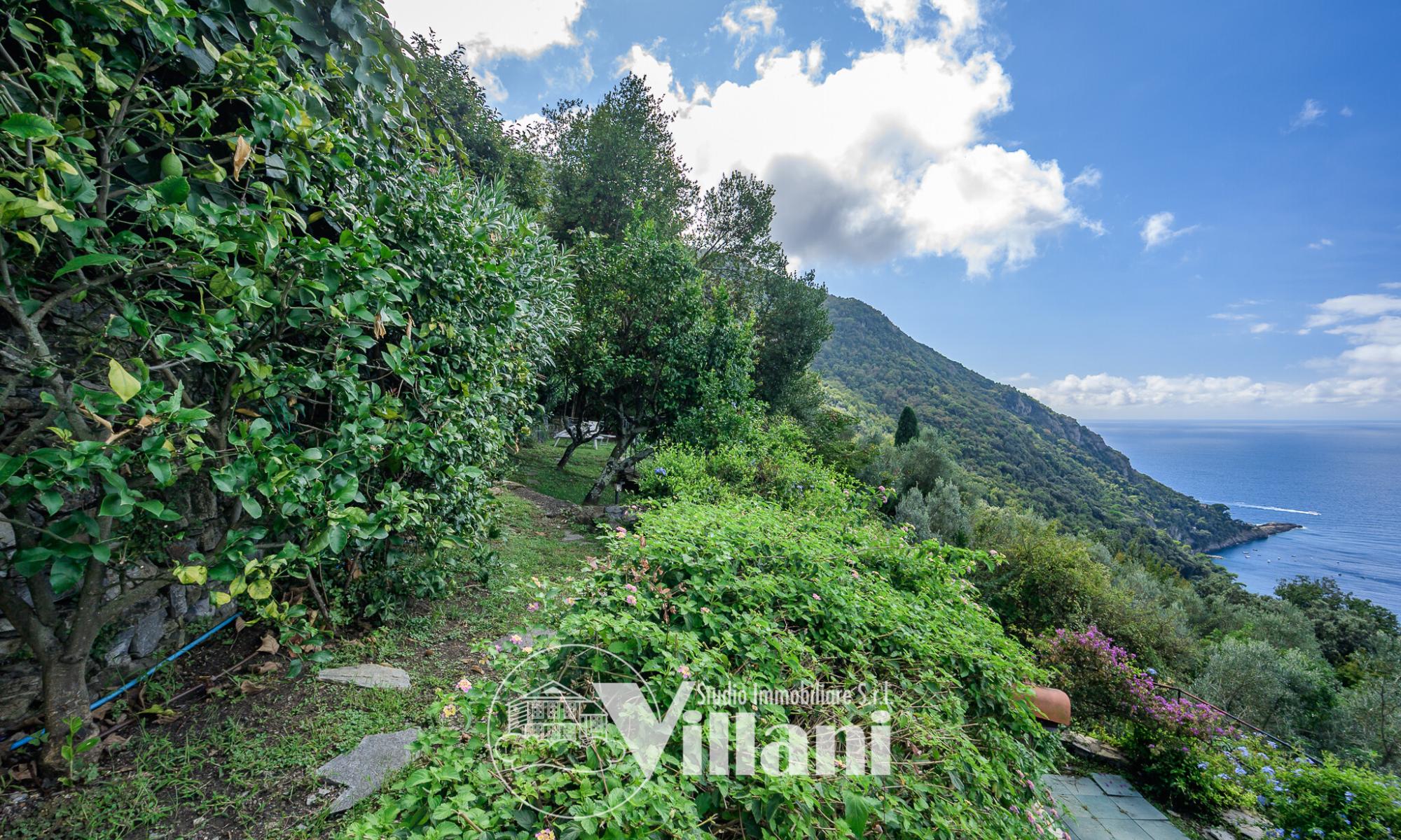 Appartamento 63mq Camogli Ruta