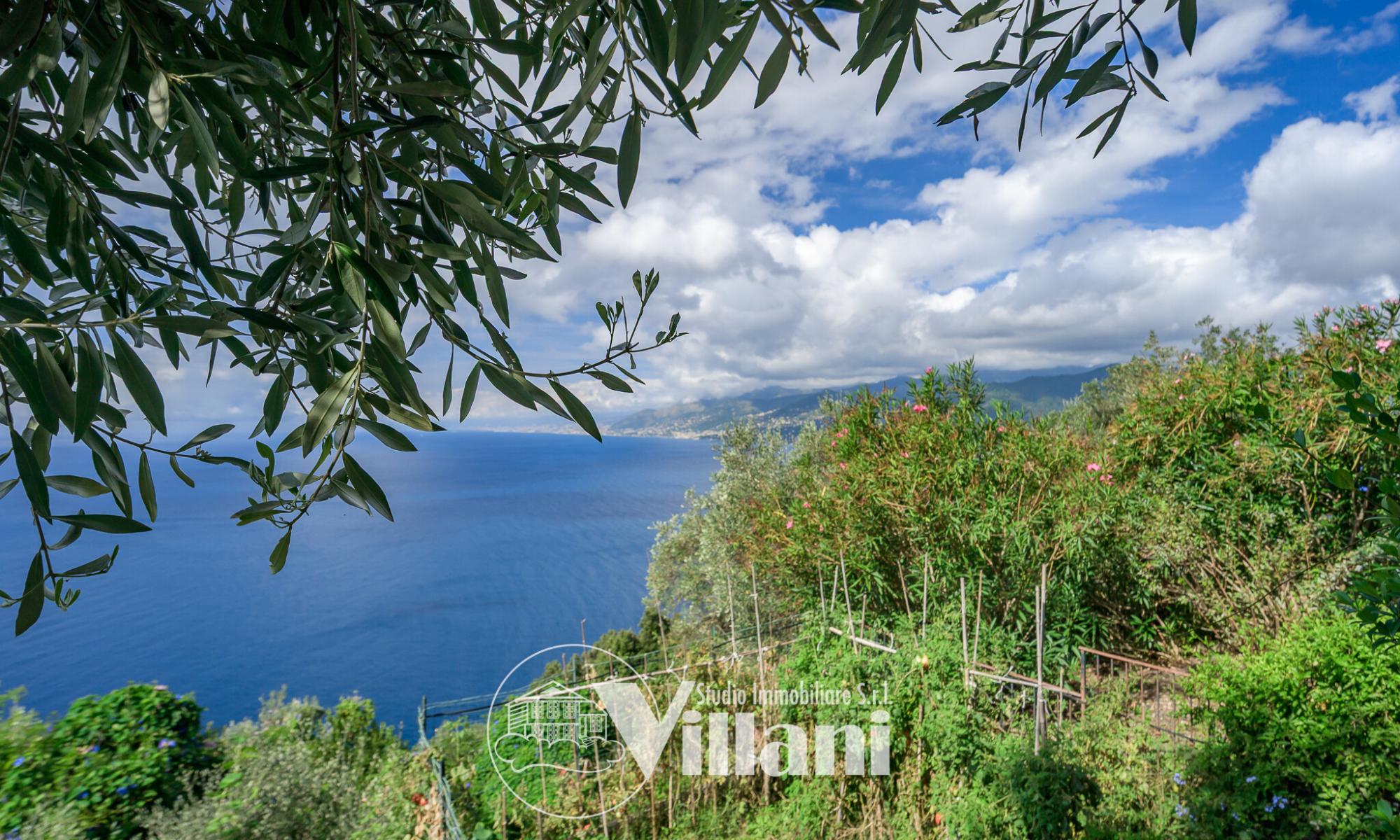 Appartamento 63mq Camogli Ruta Appartamento 63mq Camogli Ruta